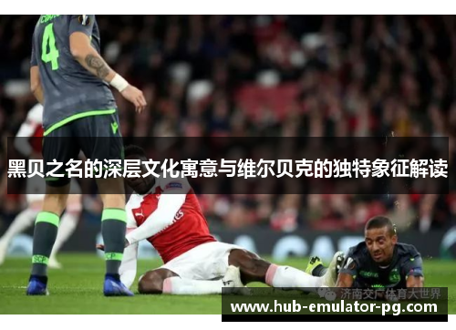 黑贝之名的深层文化寓意与维尔贝克的独特象征解读 黑贝之名的深层文化寓意与维尔贝克的独特象征解读