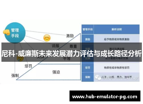 尼科-威廉斯未来发展潜力评估与成长路径分析 尼科-威廉斯未来发展潜力评估与成长路径分析