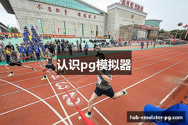 认识pg模拟器